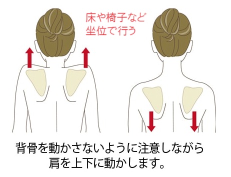 四十肩や五十肩に効果がある肩甲骨アップダウン体操坐位の説明